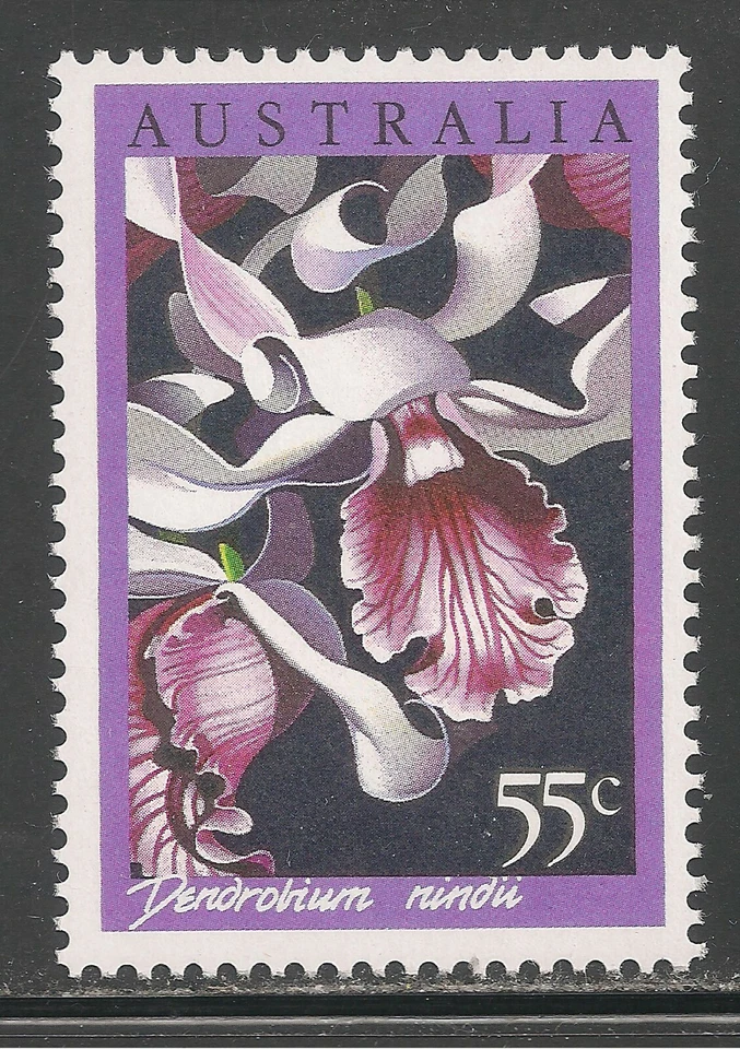 Australia #998 (A370) MNH - 1986 55c Dendrobium Nindi Orchid  - Image 1 of 1