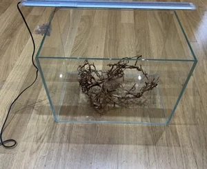 Acquario Per Pesci Di Acqua Dolce (N.B. Leggi Descrizione) - Foto 1 di 4