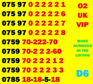 New O2 GOLD VIP BUSINESS EASY MOBILE PHONE NUMBERS SIM CARD NICE MEMORABLE 888 *