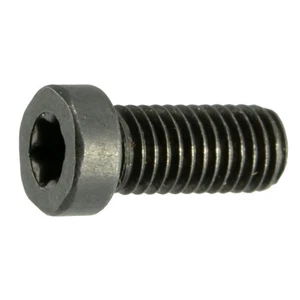 #8-40 x 3/8" Black Oxide T-15 Fillister Head Star Drive Gun Screws (10 pcs.) - Picture 1 of 3