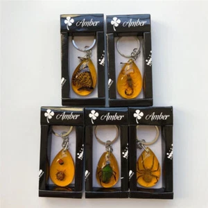 True insect specimen amber keychain car keychain backpack pendant small gift - Picture 1 of 33