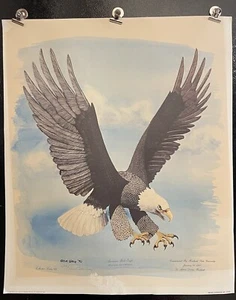 American Bald Eagle Print Gene Gray Signed Bird Numbered Limited 21 X 25” 1970 - Picture 1 of 7