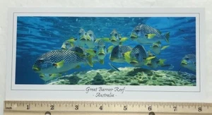Great Barrier Reef Australia Oversized Postcard - Picture 1 of 2