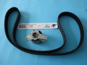 Kit Distribuzione Per Great Wall Hover H6 Haval H6 2.0 TDi 4D20 GWKD301 - Bild 1 von 1