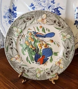 THE BIRDS OF AMERICA ADAMS PORZELLAN FLORIDA JAY ESSTELLER DEKORATIV ENGLAND - Bild 1 von 9