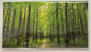 2026-2027 2-Jahres-Datumsbuch, Geldbörse/Taschenkalender, Planer - Grüner Waldweg - Bild 1 von 3