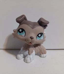 LPS Littlest Pet Shop Collie Dog 1330 Tan Brown 2" inch figure Hasbro 2007 - Picture 1 of 7