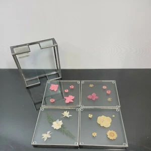 Carr Burnes of Boston Vintage Pressed Atrium Flower 4" Glass Coaster Set 4  - Picture 1 of 7