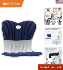 Lumbar Back Support for Chair, Ergonomic Cushion Lumbar Support Pillow for Of... - Picture 1 of 10
