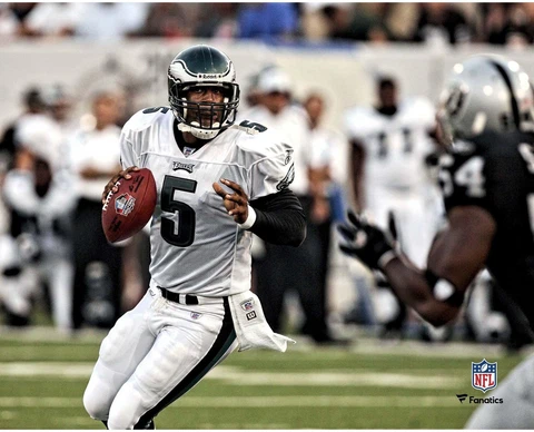 Donovan McNabb Philadelphia Eagles Unsigned Dropping Back to Pass 8" x 10" Photo Cover