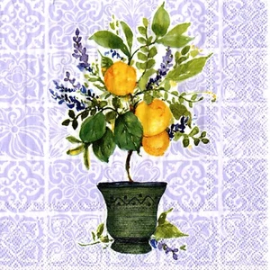 Serviettes en papier citrons citronnier en pot. Napkins lemon citrus in pot - Imagen 1 de 1