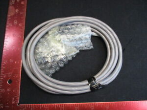 Applied Materials (AMAT) 0150-76861   CABLE ASSEMBLY