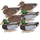 DUCK HUNTING DECOYS FLAOTERS Mallard- 6 Pack- 14 Inch Height- Realistic Plumage