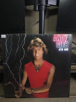 Andy Gibb - After Dark Vinyl LP 1980 RSO Records RS-1-3069 — 第 1/4 张图片