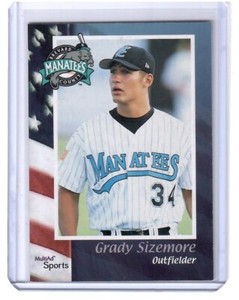 Minor League Team Set You Pick Choose - 2002 Brevard County Manatees