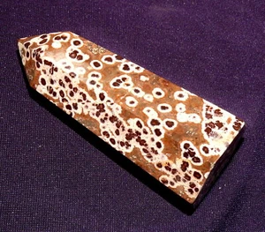 Versteinerte Koralle, achatisiert, Indonesien 64,6g, 70x29x23mm Fossil 化石 - Bild 1 von 8