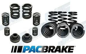 Pacbrake 60# Valve Spring / P7100 Governor Spring Kit For 1994-1998 5.9L Cummins - Picture 1 of 3