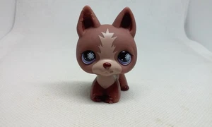 Vintage Littlest Pet Shop Deutscher Schäferhund #867 Hund Welpe authentisch LPS HASBRO 2007 - Bild 1 von 6
