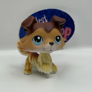 COLLIE DOG #58 - Autentico negozio di animali più piccoli - Hasbro LPS - Foto 1 di 4