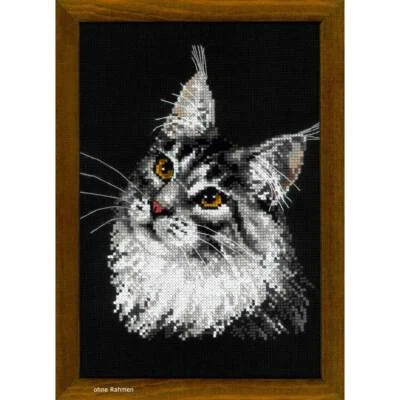Riolis counted cross stitch Kit Maine Coon, DIY - image 1 of 4