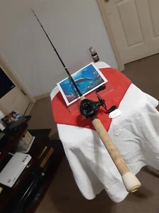 Baitcasting Fishing Rod AbuGarcía gold Max 6'6"med Heavy 12-25lb 1pc And Reel... - Picture 1 of 16