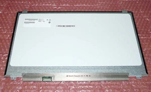 44 cm (17.3") HD+ 1600x900 AU Optronics B173RTN02.1 MATTE Display 30-pin EDP - Bild 1 von 4