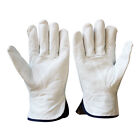 2Pcs Sheepskin Gloves Gardening Pet Protective Gloves Planting Riding Climbing