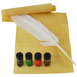 Goose Quill Pen & Colored Ink Set - Calligraphy Kits, Art Supplies for Beginners - Picture 1 of 7