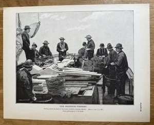 Baiting Trawls Deck of Gloucester Haddock Schoner Mystic 1887 Antique Print - Bild 1 von 15