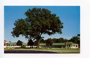 Niles MI Dixie Villa Motel US 31&33 Old Cars Autos Postcard - Picture 1 of 1