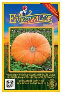 40 Mammut Gold Kürbiskerne - Everwilde Farms Mylar Samen Paket - Bild 1 von 3