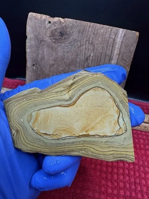 Craig’s Gulch Jasper Slab 68 Grams 3”x 2”x 7mm. Old Stock Oregon Jasper. - Image 1 of 4