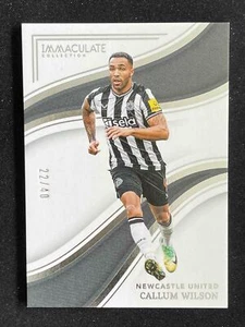 Callum Wilson 2023-24 Panini Immaculate Collection Silver /40 #207 - Picture 1 of 2