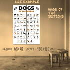 364062 Dogs Types of The World Popular Breeds Chart Art Print Poster UK