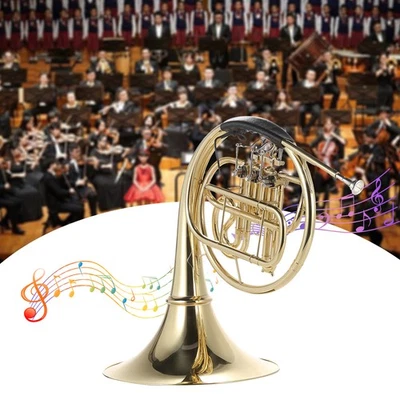 Bb Single French Horn 3 Key Brass Gold Lacquer Single-Row Split French FEKD - image 1 of 4