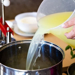 Bakterienkulturen für Quark - für 50 L Milch - Bild 1 von 5