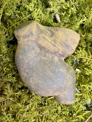 Fossil • Fossil Rock from Mohican River Ohio Decorative - Image 1 of 4