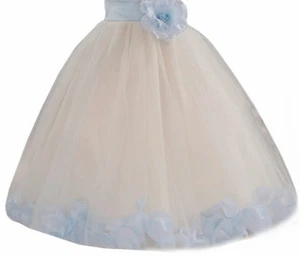 Rose Petals Lace Heart Cutout Flower Girl Dress Formal Dresses Toddler dresses - Picture 1 of 49