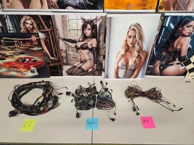 Ford Fairlane 500 1963 deportivo cupé arneses de cableado tablero motor trasero Foto 1 de 4