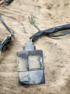 Yamaha Blaster 03-06 Yfs200 OEM Wiring Harness - Picture 1 of 4
