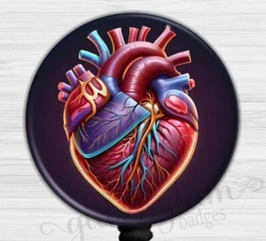 Anatomical Heart Badge Holder, Heart Badge Reel, Medical Heart Retractable 6529 - Picture 1 of 9