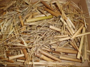 Insektenhotel, basteln, NATUR, Bambus, Bambusrohre, Abschnitte, Bambusstäbe, - Bild 1 von 4