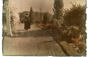 Antique Positive Set 5 Glass Slides Photos Woman Botanical Garden Fashion - Picture 1 of 5