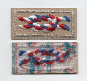 Nudo Premio Eagle Scout NESA, "Desde 1910" sobre respaldo de gasa fina blanca, ¡Como nuevo! - Imagen 1 de 1