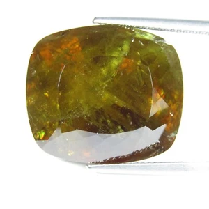 47,88Cts Classico Sfene Naturale Titanite 22x18,8x14mm Forma Cuscino Gemma - Foto 1 di 5