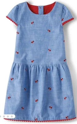 Gymboree Girls 5T Embroidered Chambray Dress - Little Ladybug - Blue - Image 1 of 4
