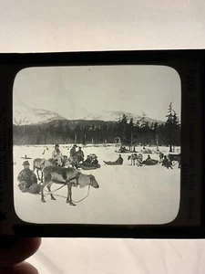 ANTIGUA FOTO DE VIDRIO NEGATIVO RENO Y TRINEOS HAINES ALASKA HOMBRES NIEVE - Imagen 1 de 3