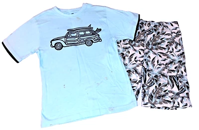 Chicos GYMBOREE Playa Camiseta Agua Verde Tropical Pantalones Cortos 12 Conjunto Vagón Surf Foto 1 de 4