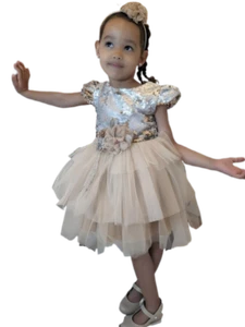 Girls' Gold Sequin & Tulle Dress, Size 4-5 Years - Picture 1 of 1