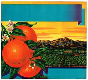 ETIQUETA STOCK CAJA NARANJA AÑOS 40 PAISAJE CALIFORNIA DISEÑO GRÁFICO VINTAGE  - Imagen 1 de 1